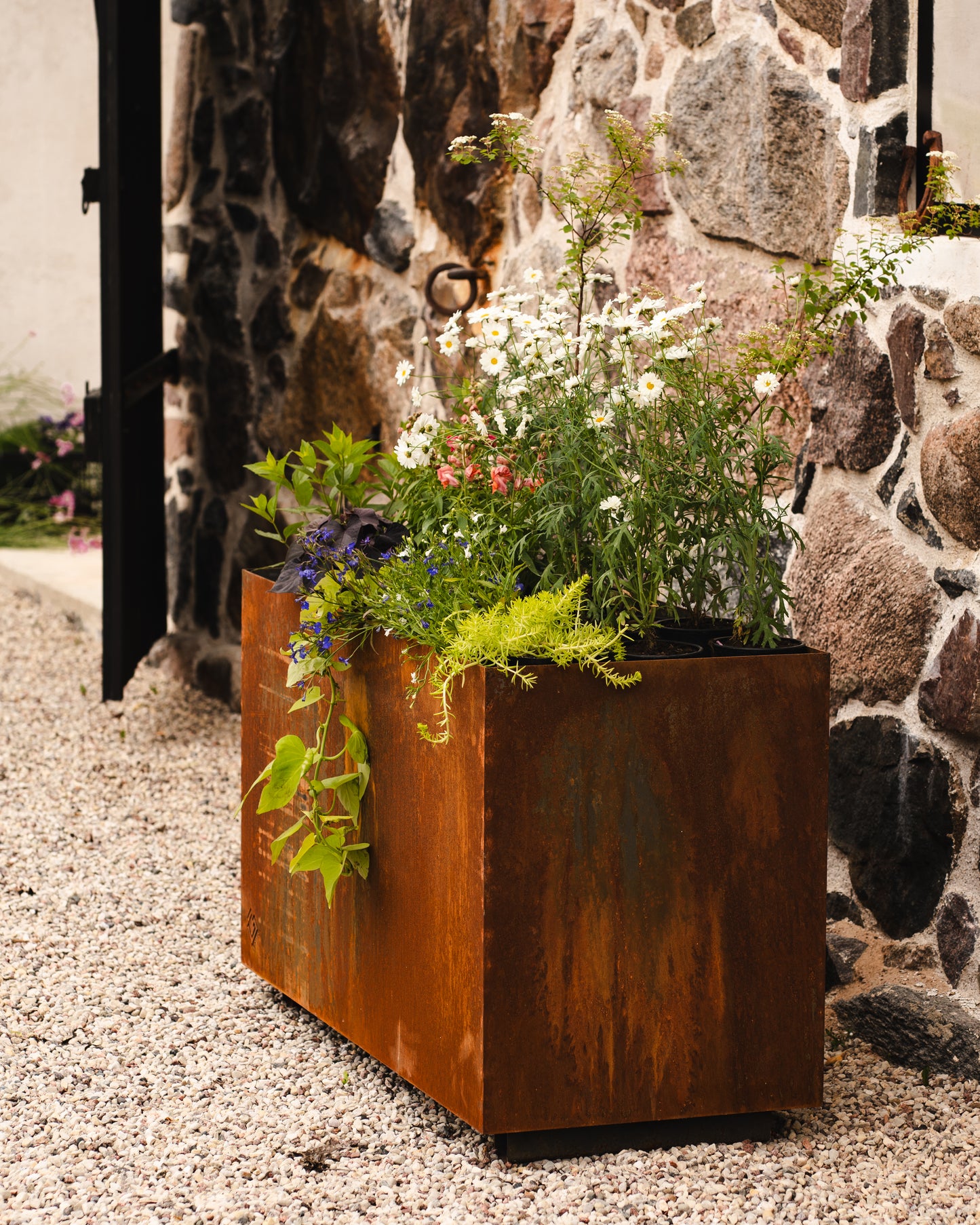Standarta Corten Puķu kaste LIELA