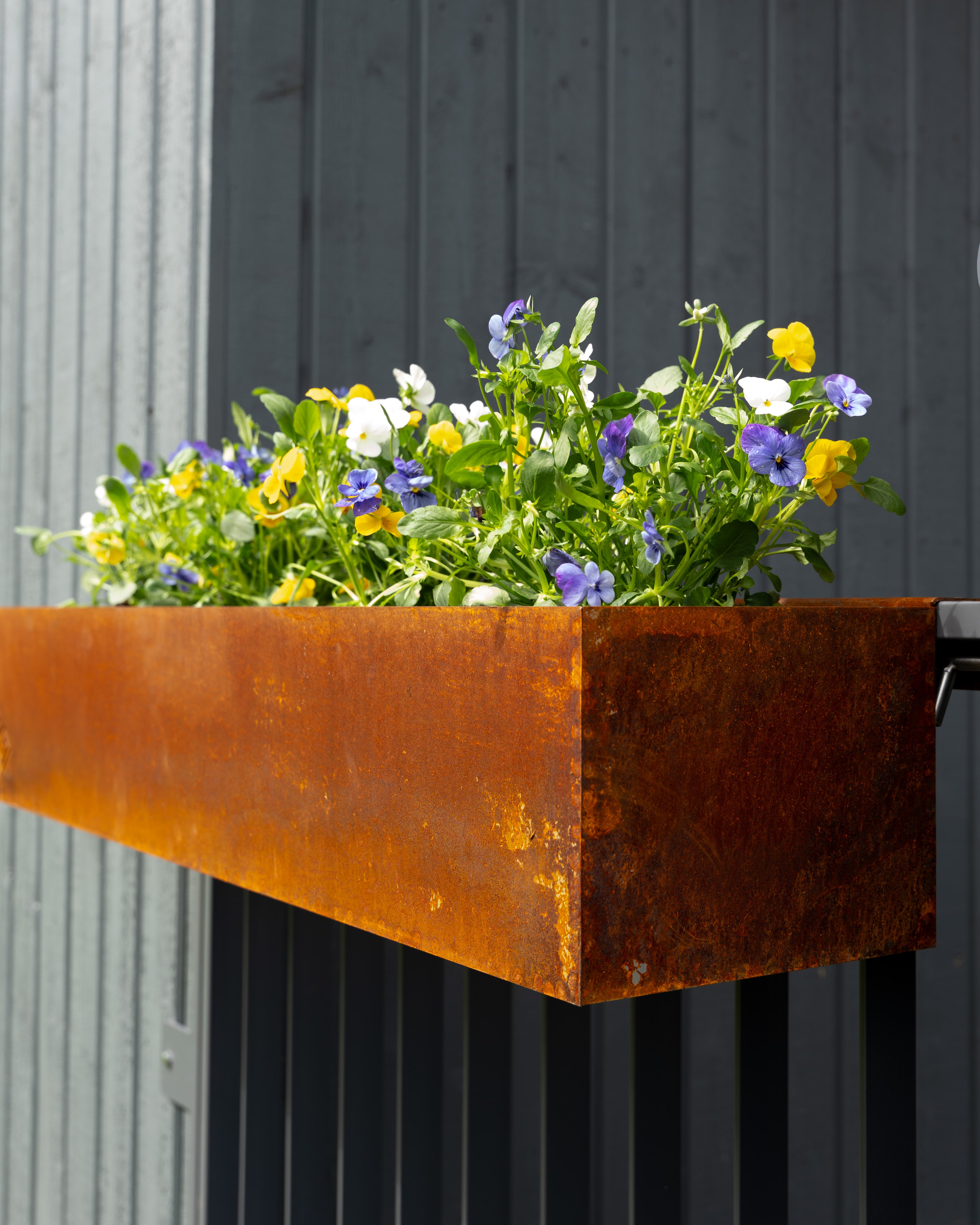 Puķu kaste ar puķēm, piestiprināma pie balkona